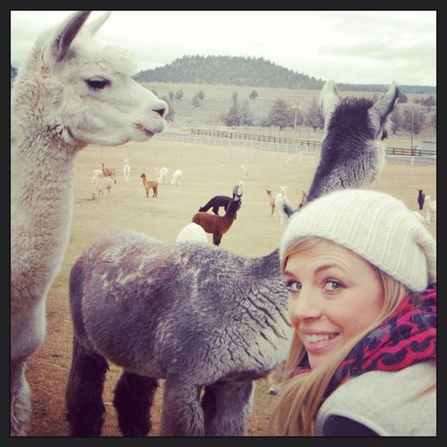 cwumegan's profile picture. 