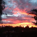 Penny Bender - @BenderPenny - Twitter