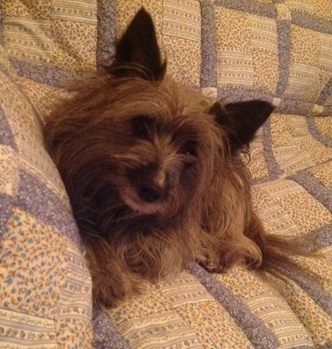 rsp258's profile picture. 