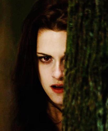 *Fãs Crepúsculo*
obgd: curtem no Facebook: https://t.co/UQFcHE1B1T
By:@dmaddsnutella_