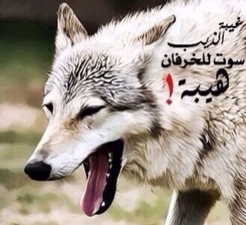 لا اله الا انت سبحانك اني كنت من الظالمين .. استغفرالله واتوب اليه..