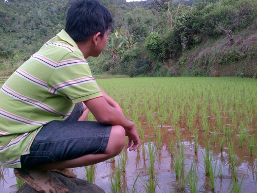 smk 11(sMm)