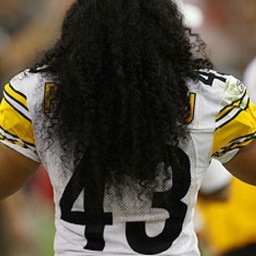 TroysHair's profile picture. Troy's a great guy, but this twitter page belongs to me, the real celebrity: The DesTROYer, The Mane Event, The Godfath-hair -- Troy's Hair.  *Burgh Verified*