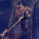 El más fiel e intrépido de los caballo. Conozco todos los caminos de la Tierra Media. No tengo ningún amo y señor. http://t.co/nZN2DUpH #SpanishFakeESDLA
