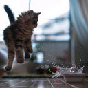ᵌᶫᵅ ᴿᵅˢᶤ ʶᵉˢʰᵅ ‹☺̐› (@0558311281) Twitter