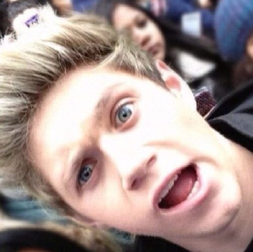 Niall Horan ruined my life. Kay, bye.