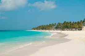 royaltraveldiva's profile picture. Travel Planner, Travel Agency. We plan: Cruises, Honeymoons/Destination Weddings, Vegas, Family, meetings,more. 15+ yrs exp. Virt Assistance @msroyalvirtual