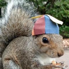 teamforcethrust's profile picture. Also: @LastContinue@retro.pizza
(Even more non-serious stuff going on there)