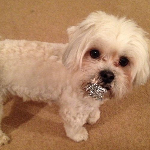 LouisePutnar's profile picture. 