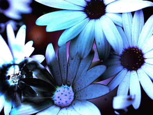 Traffic_Program's profile picture. How yoou can get more Traffic. and Can Make more money also.It will help you Follow this ##