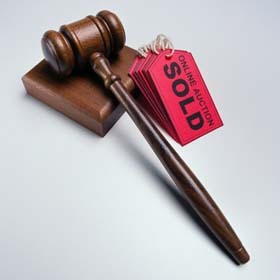 exclsvdomains's profile picture. Great Domain Names for Sale including Exclusive Adult Names