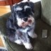 Max (@maxpuddingpie) Twitter profile photo