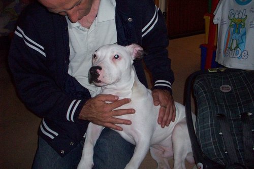 Sphinxie235's profile picture. 