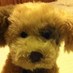 kath (@mgkath) Twitter profile photo kath (@mgkath) Twitter profile photo