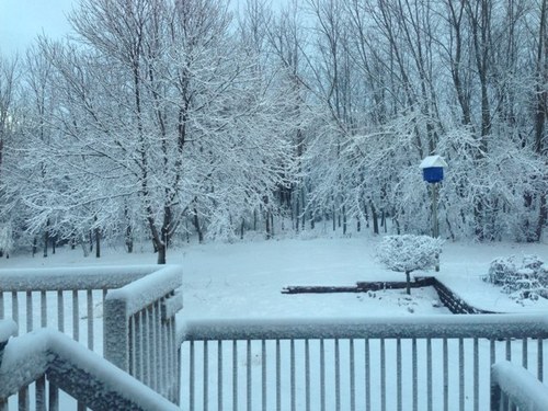 zackevich's profile picture. 