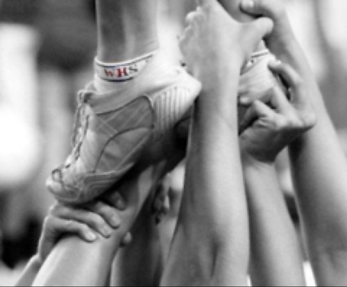 sum_cheer's profile picture. Good is the enemy of great... Always push yourself to the next level in all you do... do it AS IF IT WERE YOUR LAST JV CHEERLEADER/ SEALS CHHERZONE IS MY HOME