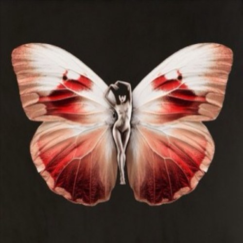 KLiedman's profile picture. Rave Angel who here to spread positive vibes to all. Were all spiritual beings in physical bodies. Expand your minds