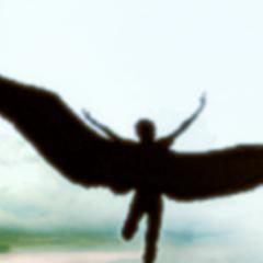 Up, up, and away. | Sometimes angels really do save people. That's what I am, and that's what I do.