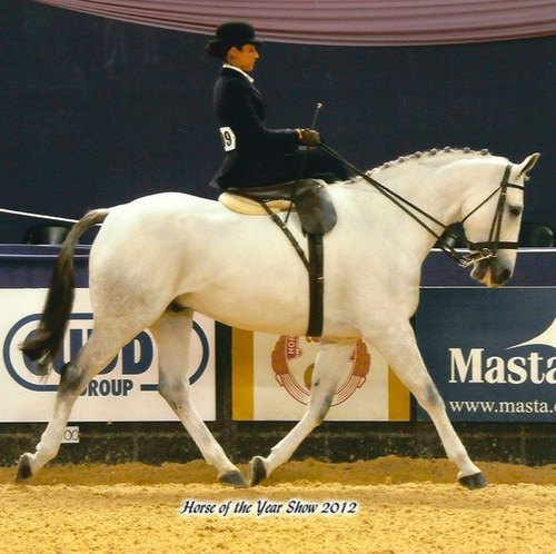 RachymGreen's profile picture. 