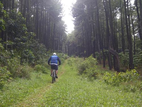 tombak79's profile picture. An interior designer, love a MTB, happy husband, hamba Alloh SWT.