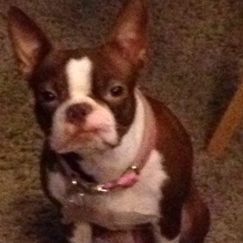 Tbid81's profile picture. 