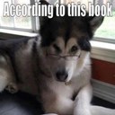 John Spoelstra - @JohnSpoelstra - Twitter