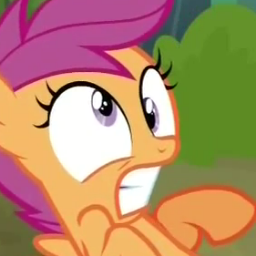 Horse twitter for @JKonathan. I like that one horse who's orange and rides the scooter. #Scootacrew