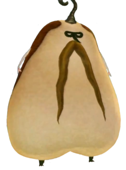 Hello Chuuu,
Kweeeee-heee... I am Bucha, the Kikwi elder. I saw the way you spotted me through my ingenious camouflage.
