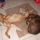 barry Halpin - @Barry_Halpin - Twitter