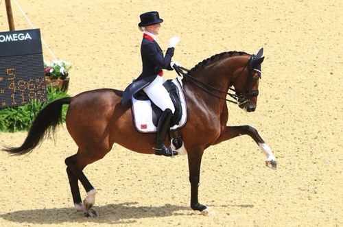 Norwegian International Dressage Rider &Trainer.  London Olympic Games 2012