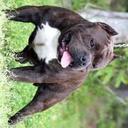 Rafael Franz Chavez  - @RafaelFranzChav - Twitter