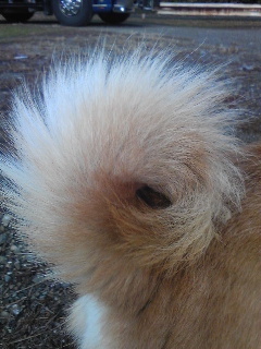 hayachandayo's profile picture. ZIP FM♪♪聴いてます(^^)