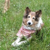 omame.com (@omame_mac) 's Twitter Profile