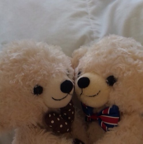 usausaprio's profile picture. 