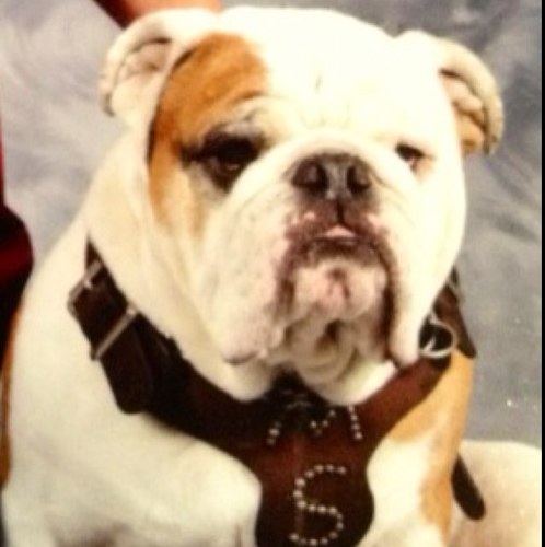 Marcia_Neal's profile picture. MSU alum and true maroon bulldog; GiGi; nature lover and weather fanatic; retired teacher; substitute teacher; gardener; loving life on the Tenn-Tom River!