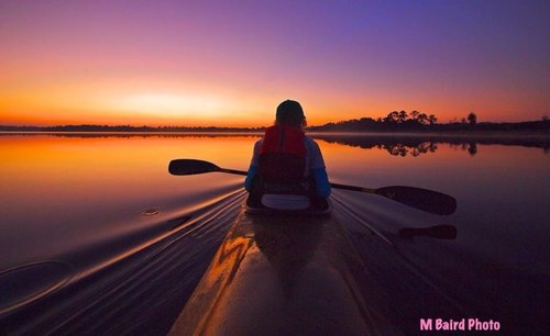 nelliwebster's profile picture. 