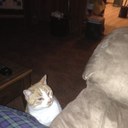 Dan McKain - @shitextractor - Twitter