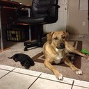 Robin Robb - @Rrdlucky1Robin - Twitter