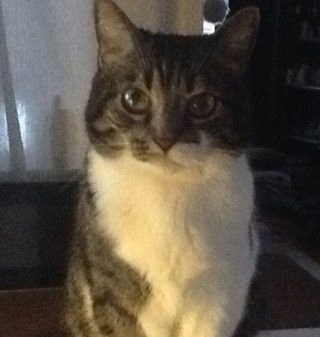 BethCole10's profile picture. 