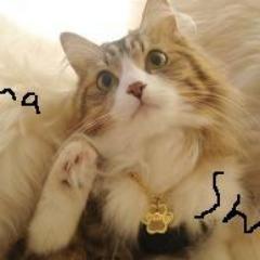 チョビ幸せ探しの旅を一緒に･･･　相互フォローお願いします。ほぼ１００％リフォローします。 http://t.co/hO6C9sUT よろしく 
http://t.co/J0okxkJI お願い 
http://t.co/MpRrKTVE 致し http://t.co/i2z5OITb ます。