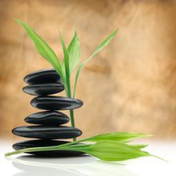 Spa Pearland consistently provides the highest quality bath and body products that utilizes natures finest oils, butters, herbs and essential oils.
