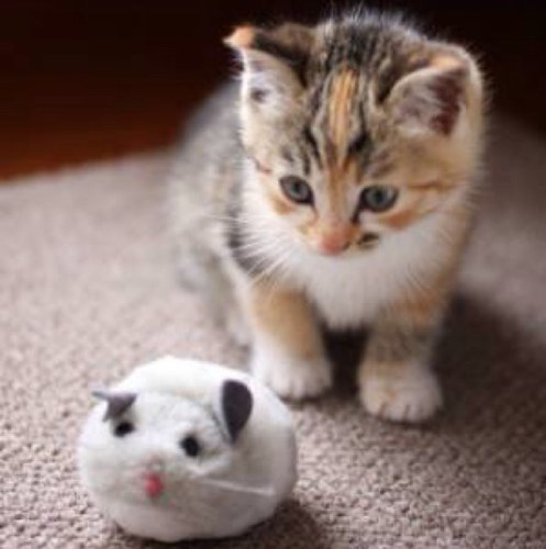 Mymodel04n's profile picture. 