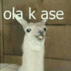 olakaseitu's profile picture. Ola k ase asi que no me sigue ? Kiere pelea ??