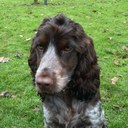 Oliver Bond - @Bond_Oliver - Twitter