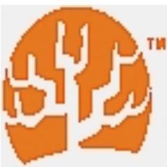 treepostonline Profile Picture