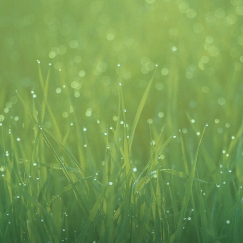 coheelo's profile picture. Under 20 years old and still young !!!