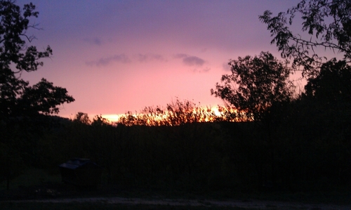 skeeter371's profile picture. 