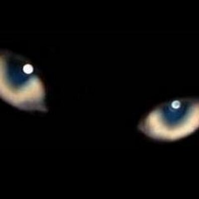 Eyeball ワンモナイトって ヒゲダンスでフェンシングの剣もって ワンモワンモ言ってる人達の事かと思ったら全然違った Eyeball ワンモナイトって ヒゲダンスでフェンシングの剣もって ワンモワンモ言ってる人達の事かと思ったら全然違った