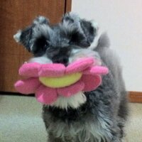 Takako (@megschna) 's Twitter Profile Photo Takako (@megschna) 's Twitter Profile Photo