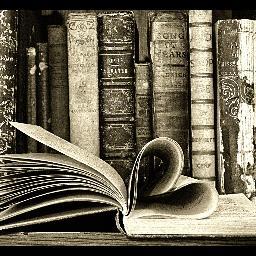 mandocastillo87's profile picture. 